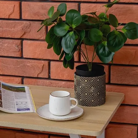 Deluxe Cracow Arianska By Renters