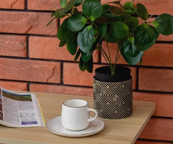 Deluxe Cracow Arianska By Renters